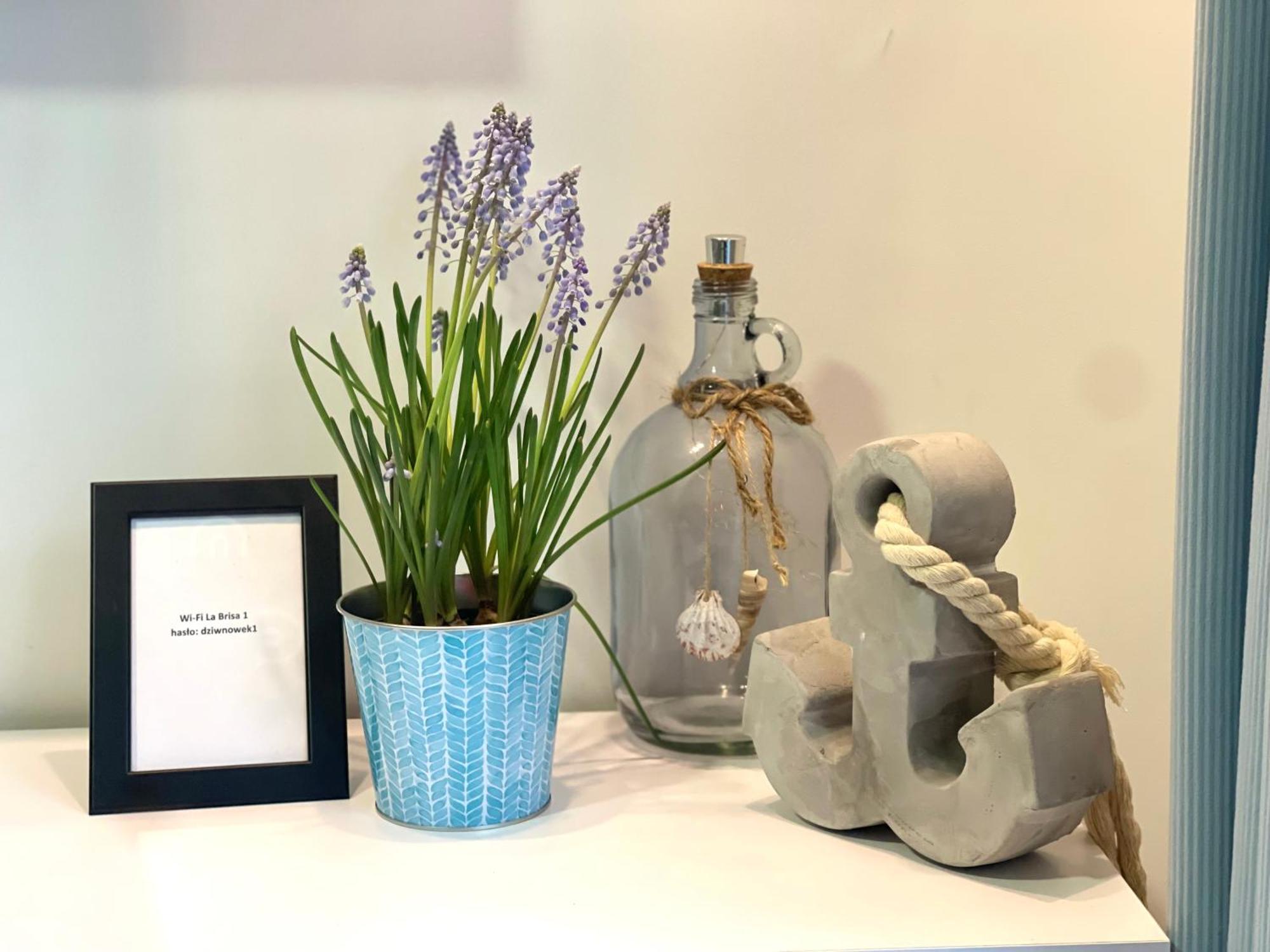 La Brisa Apartments Дзивновек Екстериор снимка
